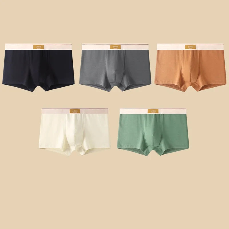 5Pcs Cueca Boxer Puro Algodão - shoppingoásis